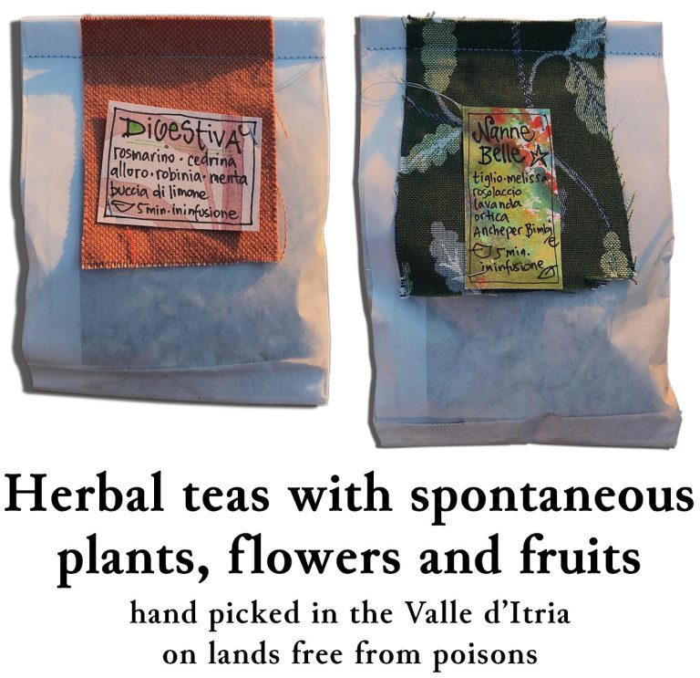 Herbal teas with spontaneousplants, flowers and fruits